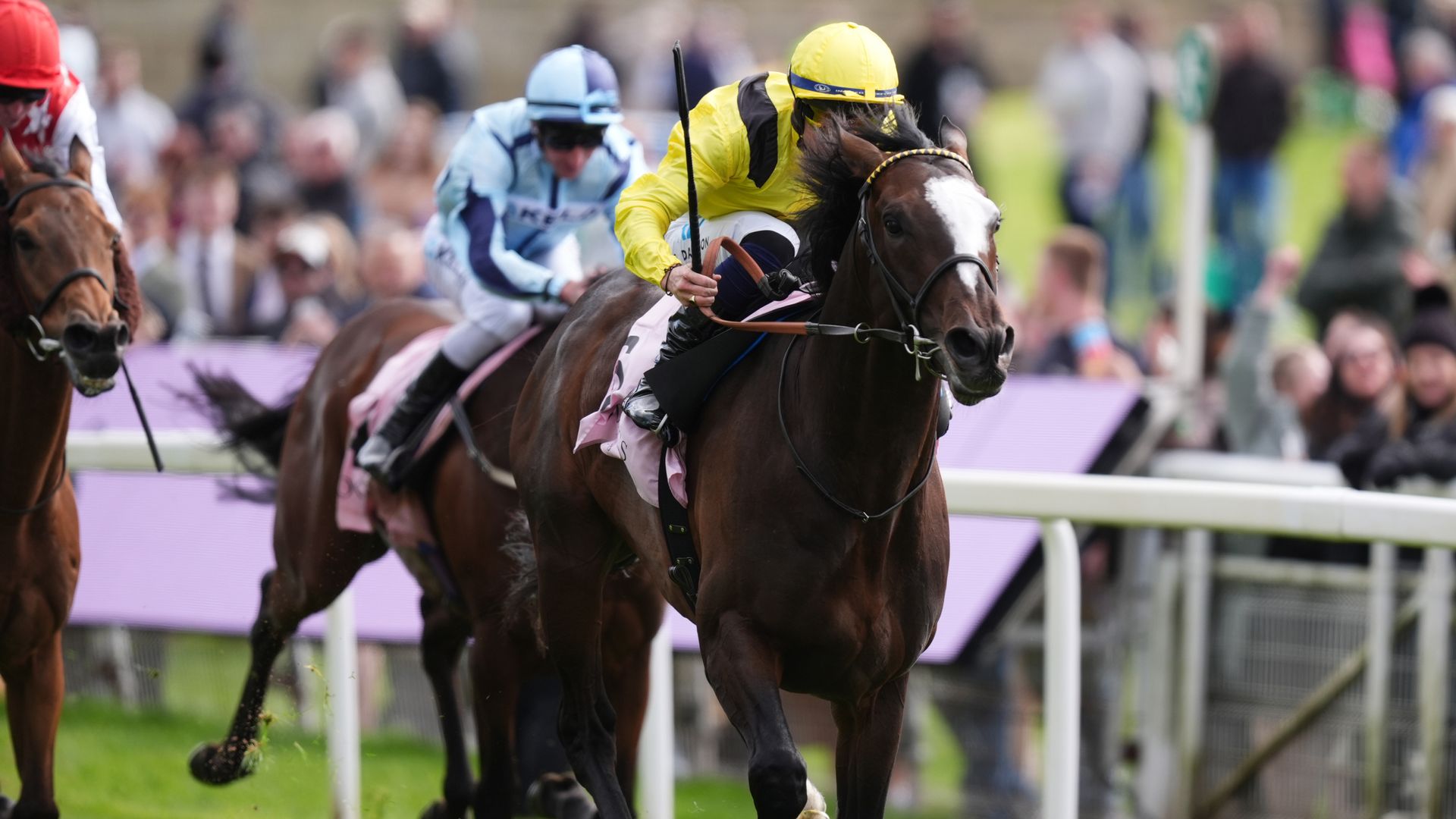 Rahiebb kuda berpotensi juara di Gold Cup Ascot